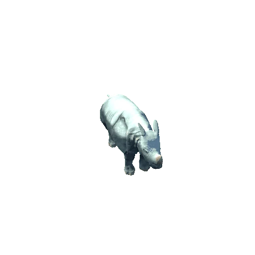 Rhinoceros Unicornis Variation-3_All-Animation